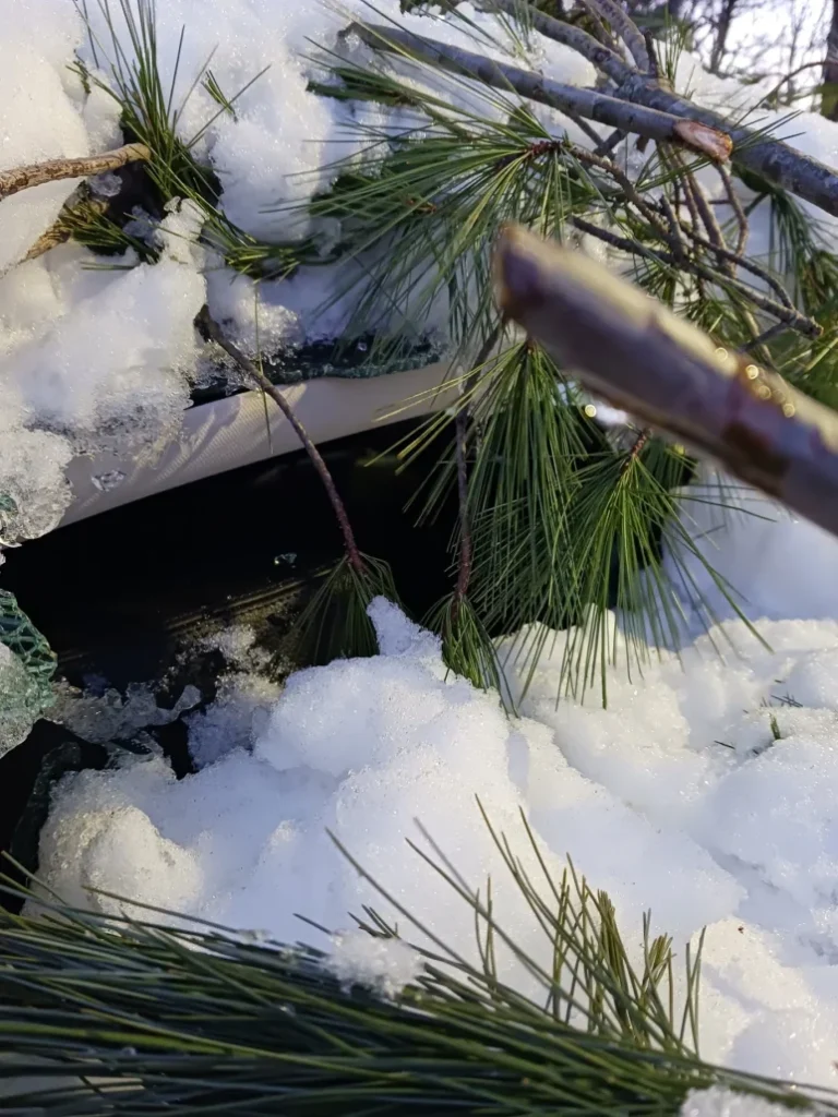 a car side window broken through with branches and snow